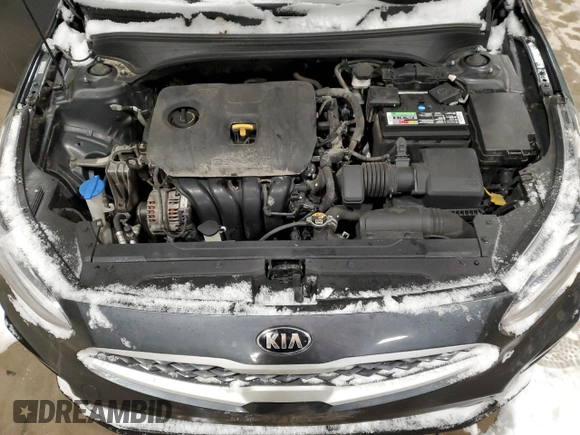2019 Kia Forte LXS with VIN 3KPF24ADXKE136692, listed as a Copart auction lot 44589515 with 117,299 mi miles and Salvage Title. Bid and sale history available at DreamBid. Image 11.