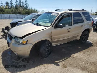 2007 Ford Escape Limited с VIN 1FMYU94167KA01050, выставлен на аукционе Copart как лот 55994395 с пробегом 257 671 миль миль и Списание • Salvage title. История ставок и продаж доступна на DreamBid. Изображение 1.