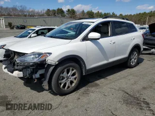 2013 Mazda CX-9 Touring with VIN JM3TB3CV1D0422100, listed as a Copart auction lot 50396875 with 111,266 mi miles and Salvage Title. Bid and sale history available at carsss.com. Image 1.