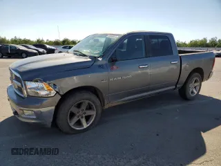 2011 Ram 1500 Big Horn with VIN 1D7RV1CT7BS562169, listed as a Copart auction lot 64440875 with 212,840 mi miles and Salvage title. Bid and sale history available at DreamBid. Image 1.