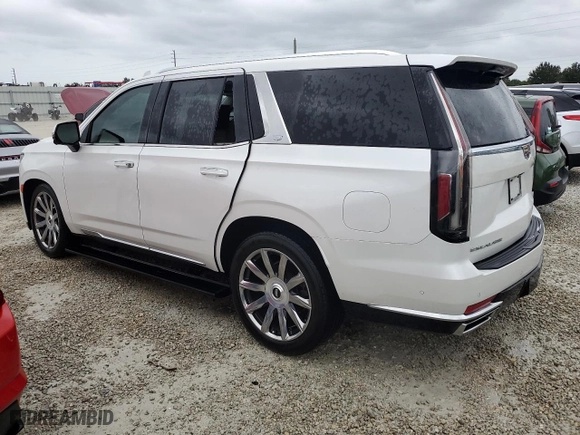 2022 Cadillac Escalade Premium Luxury Platinum with VIN 1GYS4DKL3NR119329, listed as a Copart auction lot 73692364 with 0 mi miles and Salvage Title. Bid and sale history available at carsss.com. Image 2.
