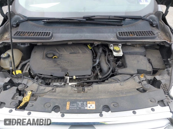2017 Ford Escape SE with VIN 1FMCU9GD2HUD71238, listed as a IAAI auction lot 41941694 with 114,327 mi miles and . Bid and sale history available at DreamBid. Image 10.