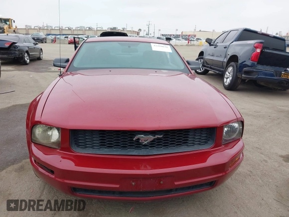 2008 Ford Mustang Deluxe with VIN 1ZVHT80N485107892, listed as a IAAI auction lot 42410036 with 117,977 mi miles and . Bid and sale history available at DreamBid. Image 12.