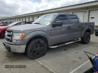2013 Ford F-150 XL with VIN 1FTFW1EF8DFD19905, listed as a Copart auction lot 60978155 with 241,183 mi miles and Salvage title. Bid and sale history available at DreamBid. Image 1.
