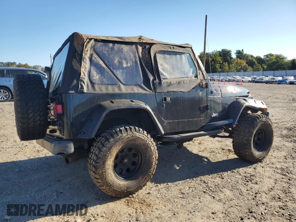 2002 Jeep Wrangler SE with VIN 1J4FA29P22P764181, listed as a Copart auction lot 76469364 with 134,275 mi miles and Salvage Title. Bid and sale history available at DreamBid. Image 3.