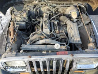 1995 Jeep Wrangler with VIN 1J4FY29S3SP289771, listed as a Copart auction lot 41522295 with 104,270 mi miles and Clean Title. Bid and sale history available at carsss.com. Image 11.