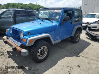 2003 Jeep Wrangler SE with VIN 1J4FA291X3P318888, listed as a Copart auction lot 61616535 with Not provided miles and Clean title. Bid and sale history available at DreamBid. Image 1.