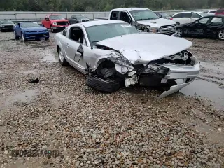 2009 Ford Mustang with VIN 1ZVHT80NX95110135, listed as a Copart auction lot 45482985 with Not provided miles and Salvage title. Bid and sale history available at DreamBid. Image 11.