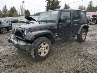 2009 Jeep Wrangler Unlimited X with VIN 1J4GA391X9L786291, listed as a Copart auction lot 46549145 with 303,324 mi miles and Clean Title. Bid and sale history available at carsss.com. Image 1.