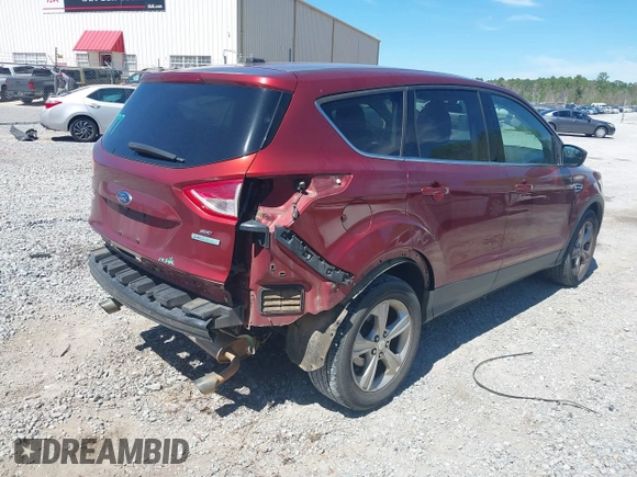 2014 Ford Escape SE with VIN 1FMCU0G91EUA06505, listed as a IAAI auction lot 41812258 with 285,292 mi miles. Bid and sale history available at carsss.com. Image 4.