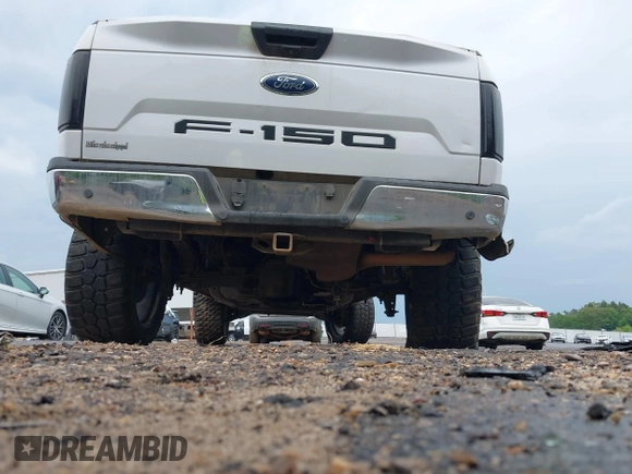 2019 Ford F-150 XL with VIN 1FTEW1EB2KKD98999, listed as a IAAI auction lot 42182839 with 162,098 mi miles and . Bid and sale history available at DreamBid. Image 17.