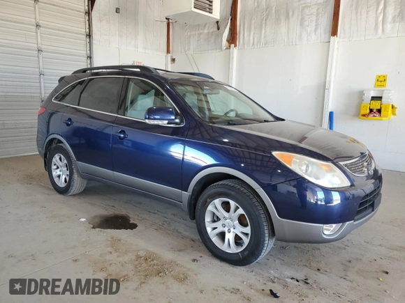 2010 Hyundai Veracruz Limited with VIN KM8NU4CC8AU117838, listed as a Copart auction lot 47407225 with 199,390 mi miles and Salvage Title. Bid and sale history available at DreamBid. Image 4.