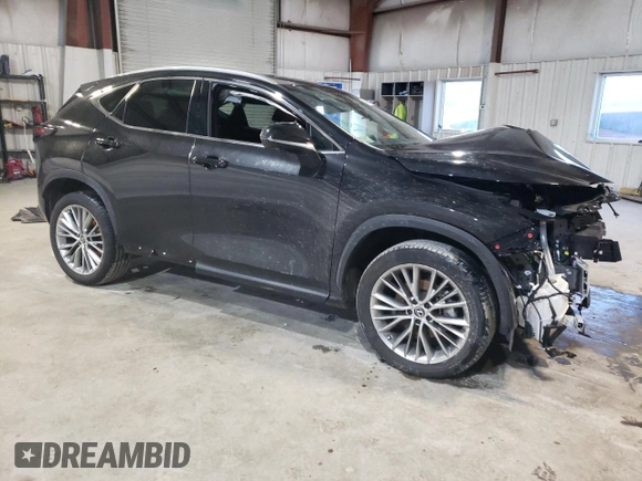 2024 Lexus NX 350 Luxury with VIN 2T2HGCEZ8RC042924, listed as a Copart auction lot 46377495 with 14,228 mi miles and Salvage title. Bid and sale history available at DreamBid. Image 4.