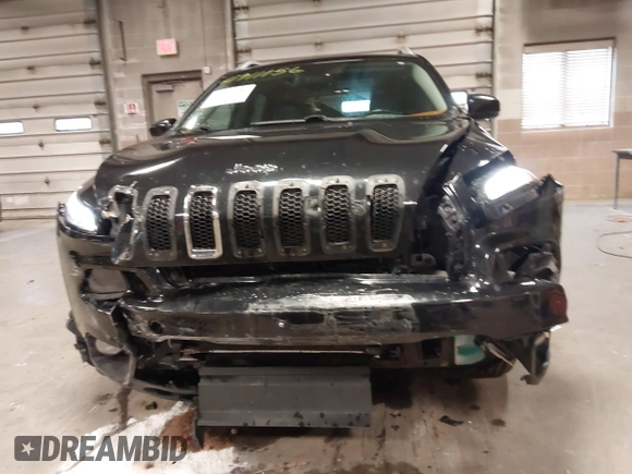 2014 Jeep Cherokee Limited with VIN 1C4PJMDS2EW202518, listed as a IAAI auction lot 41911156 with 119,533 mi miles. Bid and sale history available at carsss.com. Image 6.