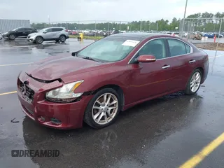 2010 Nissan Maxima 3.5 SV with VIN 1N4AA5AP7AC809317, listed as a IAAI auction lot 42095436 with 144,556 mi miles. Bid and sale history available at carsss.com. Image 2.