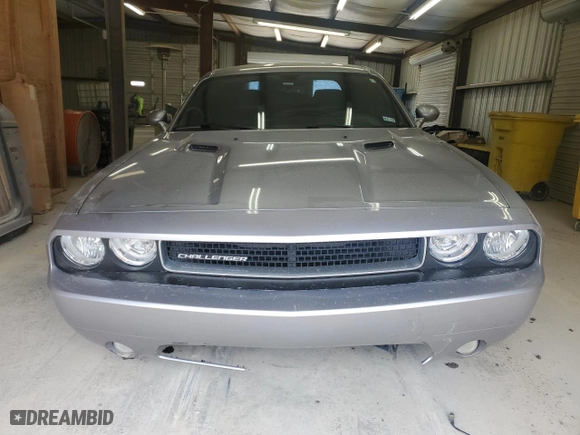 2013 Dodge Challenger Rallye Redline with VIN 2C3CDYAG6DH616173, listed as a Copart auction lot 46070745 with 137,024 mi miles and Salvage Title. Bid and sale history available at carsss.com. Image 5.