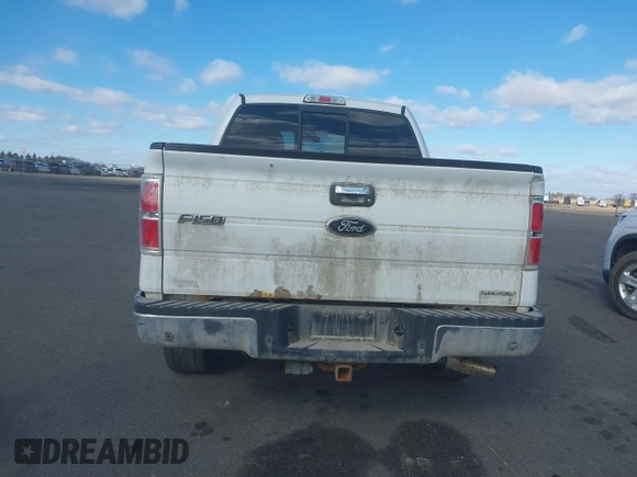 2011 Ford F-150 XL with VIN 1FTFW1EF5BKD20966, listed as a IAAI auction lot 41698011 with 183,759 mi miles. Bid and sale history available at carsss.com. Image 17.