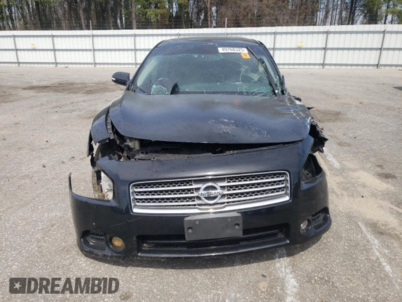 2009 Nissan Maxima SV with VIN 1N4AA51E99C807465, listed as a Copart auction lot 49768325 with Not Provided miles and Salvage Title. Bid and sale history available at DreamBid. Image 5.