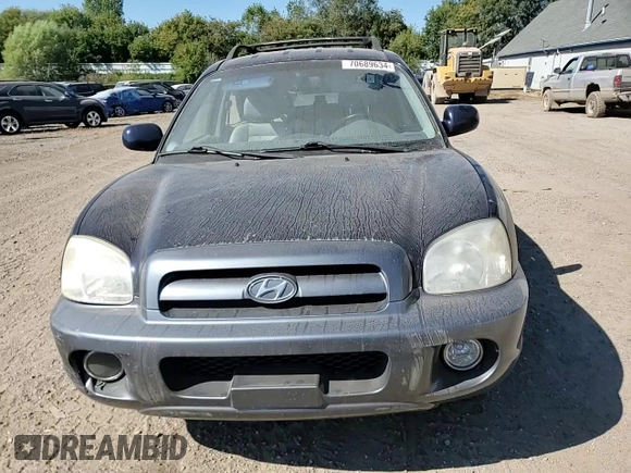 2005 Hyundai Santa Fe GLS with VIN KM8SC13E35U993857, listed as a Copart auction lot 70689634 with 179,947 mi miles and Clean Title. Bid and sale history available at carsss.com. Image 11.