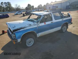 1993 Chevrolet Blazer z VIN 1GNDT13W3P2162256, wystawiony jako Copart lot #41904865 z przebiegiem 191 390 mil mil oraz Szkoda całkowita • Salvage title. Historia ofert i sprzedaży dostępna na DreamBid. Obrazek 1.