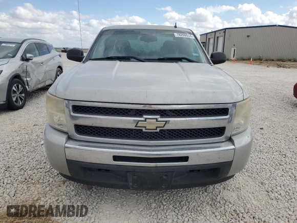 2010 Chevrolet Silverado 1500 LS with VIN 1GCSCREA1AZ228706, listed as a Copart auction lot 78209534 with 67,600 mi miles and Salvage Title. Bid and sale history available at DreamBid. Image 5.