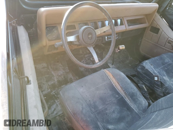 1995 Jeep Wrangler S with VIN 1J4FY19P1SP256905, listed as a Copart auction lot 46057415 with 138,212 mi miles and Salvage Title. Bid and sale history available at carsss.com. Image 8.