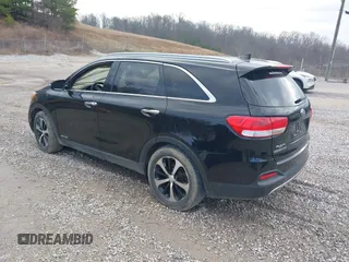 2017 Kia Sorento EX with VIN 5XYPHDA54HG323420, listed as a IAAI auction lot 41649355 with Not Provided miles and . Bid and sale history available at DreamBid. Image 3.