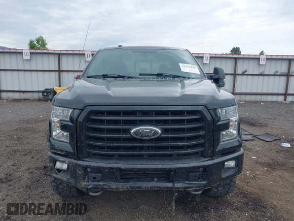 2016 Ford F-150 XLT with VIN 1FTEW1EP2GFA90548, listed as a IAAI auction lot 42322480 with 131,646 mi miles and . Bid and sale history available at DreamBid. Image 12.