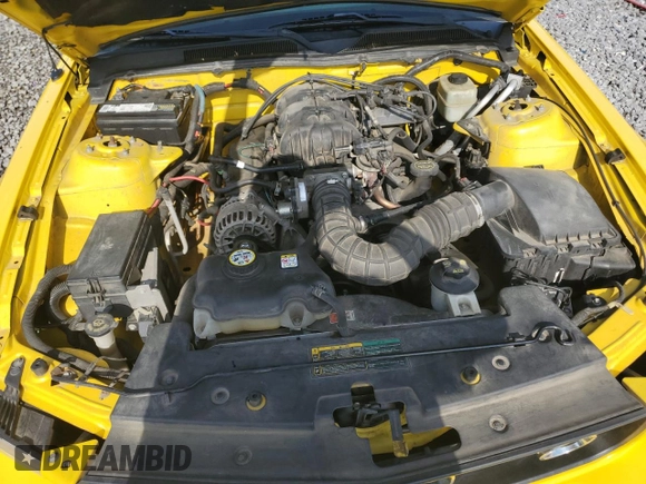2006 Ford Mustang Standard with VIN 1ZVFT80N365154531, listed as a Copart auction lot 51825505 with 164,126 mi miles and Salvage Title. Bid and sale history available at carsss.com. Image 11.