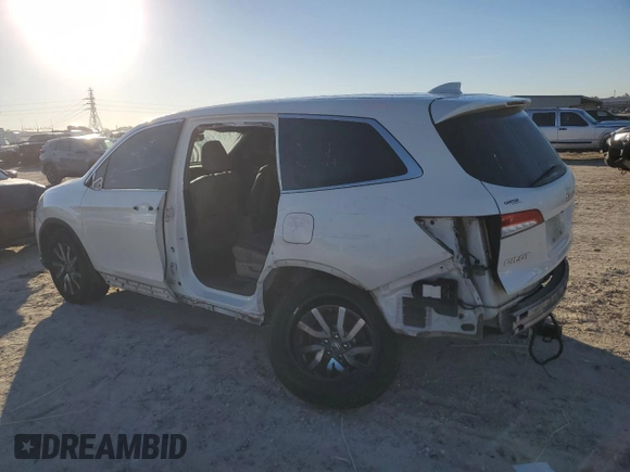 2019 Honda Pilot EX-L with VIN 5FNYF5H40KB019724, listed as a Copart auction lot 81987244 with 117,406 mi miles and Salvage title. Bid and sale history available at DreamBid. Image 2.