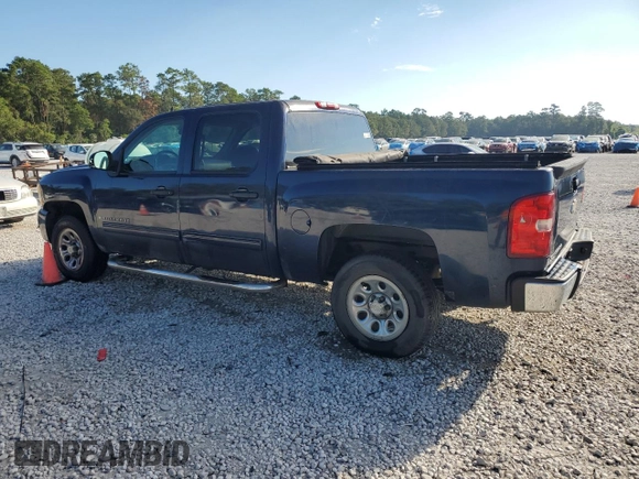 2009 Chevrolet Silverado 1500 LT with VIN 2GCEC23C491102403, listed as a Copart auction lot 74260974 with 161,318 mi miles and Salvage Title. Bid and sale history available at DreamBid. Image 2.