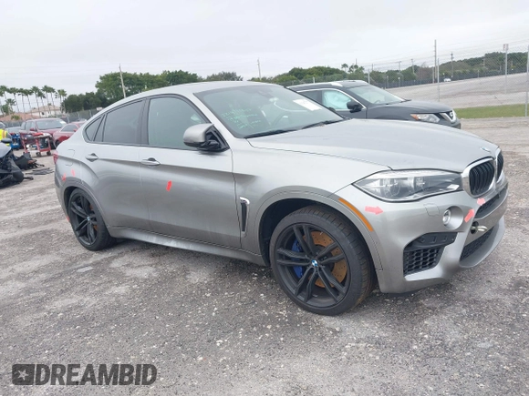 2019 BMW X6 M with VIN 5YMKW8C59K0Y75102, listed as a IAAI auction lot 41347277 with 37,635 mi miles. Bid and sale history available at carsss.com. Image 19.