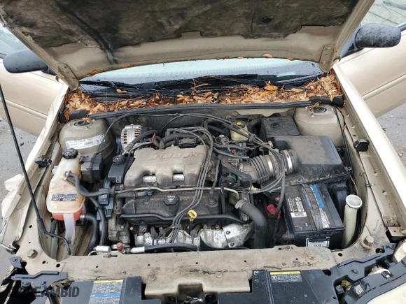 2002 Chevrolet Malibu with VIN 1G1ND52J82M704450, listed as a Copart auction lot 87735895 with 216,424 mi miles and Salvage Title. Bid and sale history available at carsss.com. Image 11.