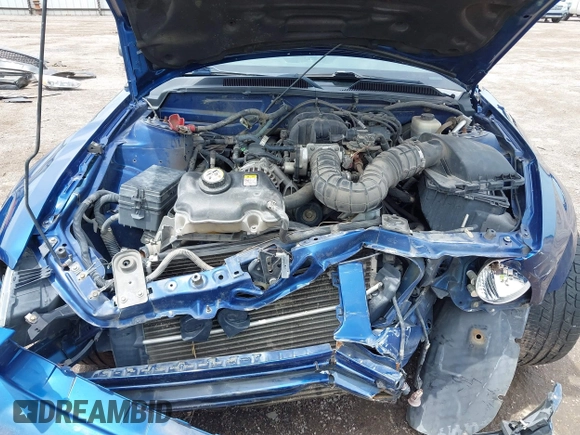 2008 Ford Mustang Deluxe with VIN 1ZVHT80NX85120503, listed as a IAAI auction lot 42530285 with 171,570 mi miles and . Bid and sale history available at DreamBid. Image 10.