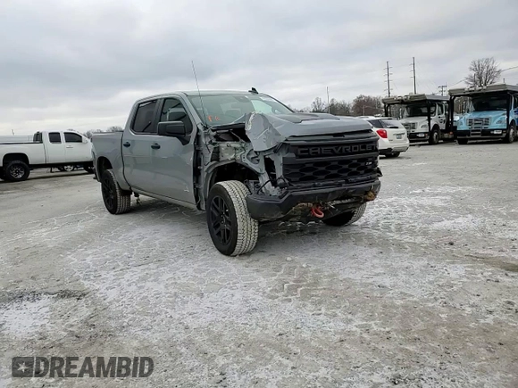 2024 Chevrolet Silverado 1500 Custom Trail Boss with VIN 3GCPDCEK2RG183022, listed as a Copart auction lot 82964444 with 21,314 mi miles and Salvage Title. Bid and sale history available at carsss.com. Image 14.
