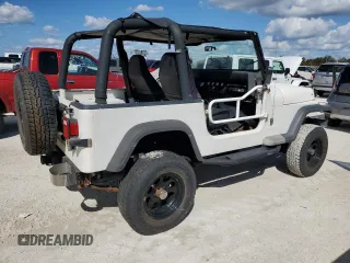 1994 Jeep Wrangler S with VIN 1J4FY19P4RP401204, listed as a Copart auction lot 77847694 with 0 mi miles and Non Repairable. Bid and sale history available at carsss.com. Image 3.