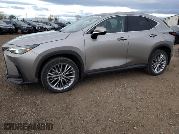 2022 Lexus NX with VIN 2T2GKCEZ0NC008934, listed as a Copart auction lot 73789294 with 50,370 mi miles and Clean Title. Bid and sale history available at carsss.com. Image 1.
