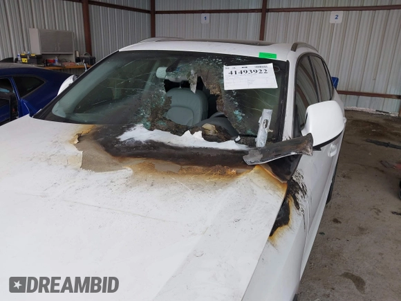 2014 Audi Q5 Prestige with VIN WA1VMAFP5EA046228, listed as a IAAI auction lot 41493922 with Not provided miles and . Bid and sale history available at DreamBid. Image 6.