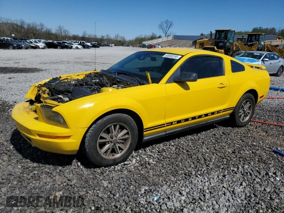2005 Ford Mustang Deluxe with VIN 1ZVFT80N055243648, listed as a Copart auction lot 50080295 with 122,686 mi miles and Salvage Title. Bid and sale history available at carsss.com. Image 1.