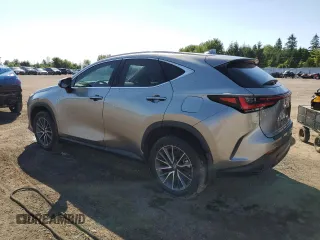 2024 Lexus NX with VIN 2T2ADCEZ4RC004990, listed as a Copart auction lot 65790834 with 7,141 mi miles and Non Repairable. Bid and sale history available at carsss.com. Image 2.