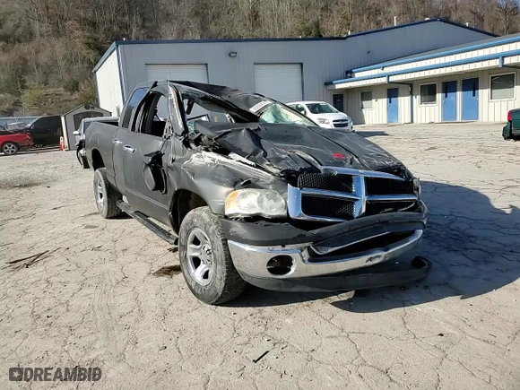 2003 Dodge Ram 1500 ST with VIN 1D7HU18N03S287271, listed as a Copart auction lot 85984214 with 0 mi miles and Salvage Title. Bid and sale history available at carsss.com. Image 11.