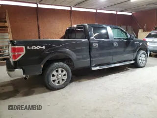 2010 Ford F-150 XL with VIN 1FTFW1EV7AFA44952, listed as a Copart auction lot 47845065 with 160,132 mi miles and Salvage title. Bid and sale history available at DreamBid. Image 3.