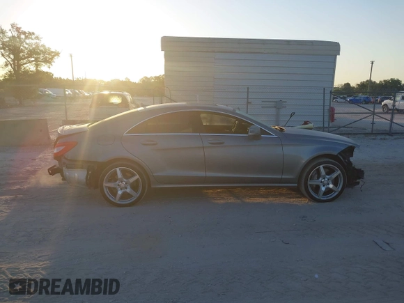 2013 Mercedes-Benz CLS-Class CLS 550 with VIN WDDLJ7DB7DA072530, listed as a IAAI auction lot 42065879 with 123,254 mi miles. Bid and sale history available at carsss.com. Image 13.
