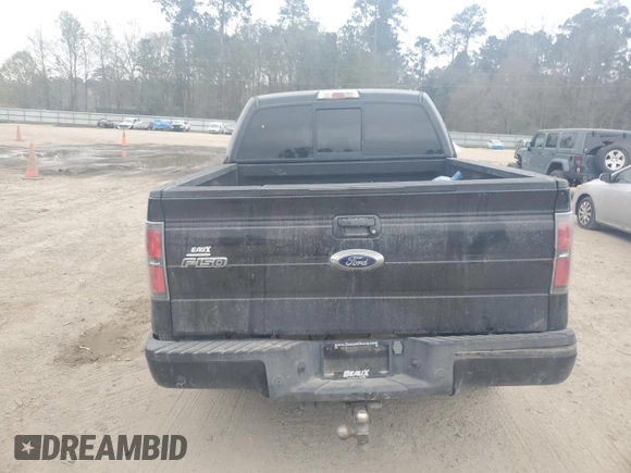 2013 Ford F-150 XL with VIN 1FTFW1ET4DKF46019, listed as a Copart auction lot 48988855 with 170,141 mi miles and Salvage Title. Bid and sale history available at carsss.com. Image 6.