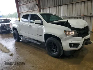 2019 Chevrolet Colorado 2WD LT with VIN 1GCGSCEN3K1169649, listed as a Copart auction lot 64862795 with 64,018 mi miles and Salvage title. Bid and sale history available at DreamBid. Image 4.