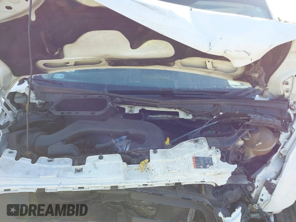 2019 Ford Transit with VIN 1FTYR2XM3KKA50492, listed as a IAAI auction lot 41775969 with 122,242 mi miles and . Bid and sale history available at DreamBid. Image 10.