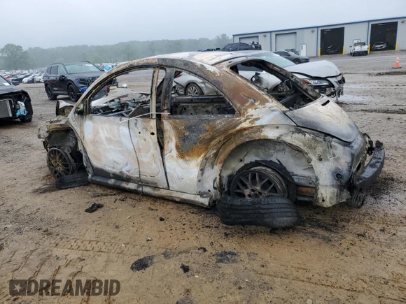 2009 Volkswagen Beetle S with VIN 3VWPW31C79M501529, listed as a Copart auction lot 56184265 with Not provided miles and Salvage title. Bid and sale history available at DreamBid. Image 2.