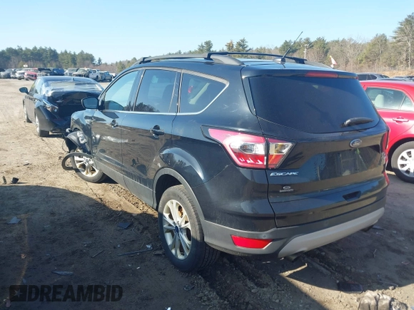 2017 Ford Escape SE with VIN 1FMCU9GD5HUC70341, listed as a IAAI auction lot 41801365 with 135,439 mi miles. Bid and sale history available at carsss.com. Image 3.