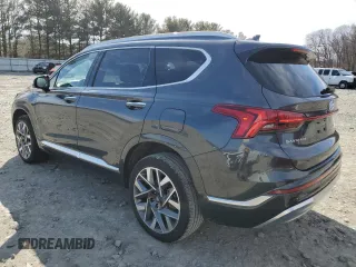 2023 Hyundai Santa Fe Calligraphy with VIN 5NMS5DAL2PH640568, listed as a Copart auction lot 45269215 with 19,962 mi miles and Salvage Title. Bid and sale history available at carsss.com. Image 2.