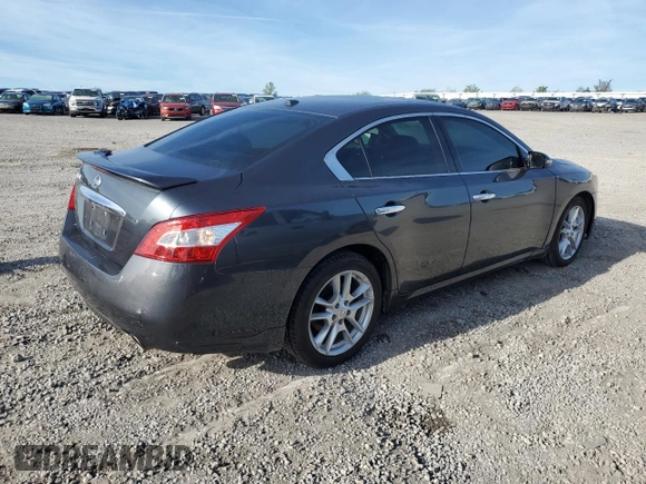 2011 Nissan Maxima SV with VIN 1N4AA5AP5BC840910, listed as a Copart auction lot 54042515 with Not provided miles and Salvage title. Bid and sale history available at DreamBid. Image 3.